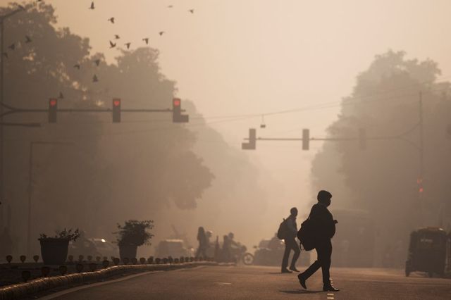 Anti-Dust Campaign, Construction Guidelines To Tackle Delhi Air Pollution