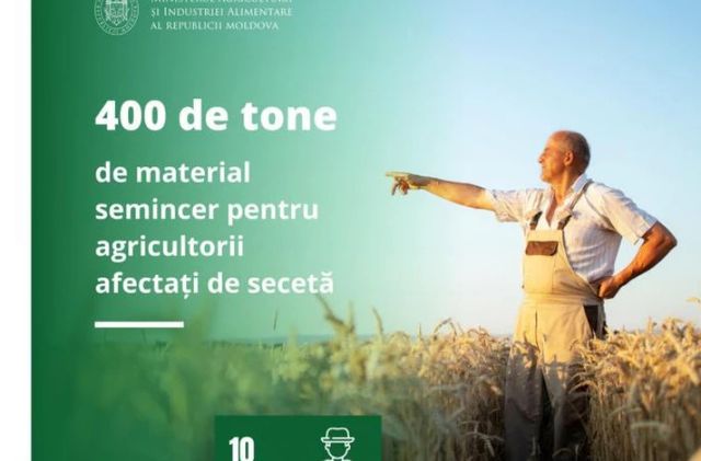 Agricultorii care au suferit pierderi, de peste 70% din cauza secetei, pot accesa sprijinul la semințe de grâu