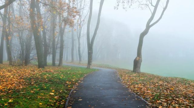 Meteorologii anunță vreme mohorâtă cu ceață și ploi slabe