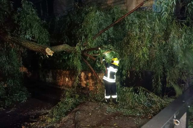 Ploile torențiale și vântul puternic au doborât mai mulți arbori și au inundat mai multe gospodării