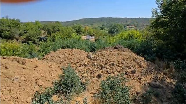 Și-a îngropat bunica în secret și i-a încasat pensia luni la rând. Descoperire șocantă în curtea unei case din județul Galați