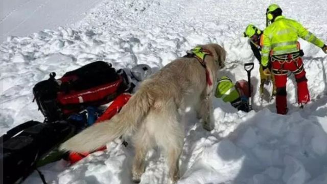 Valanga sul Castore, nel massiccio del Rosa, alpinisti coinvolti