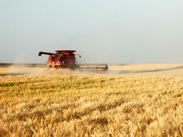 Ministrul Agriculturii anunță programul financiar „De trei ori subvenția”, pentru fermieri