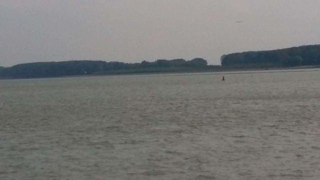Avertizare de vânt puternic pe litoral și în Delta Dunării