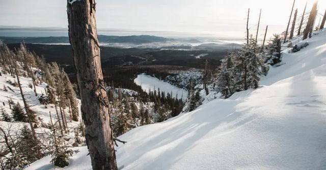 Do Česka přijde koncem roku zima a sněžení