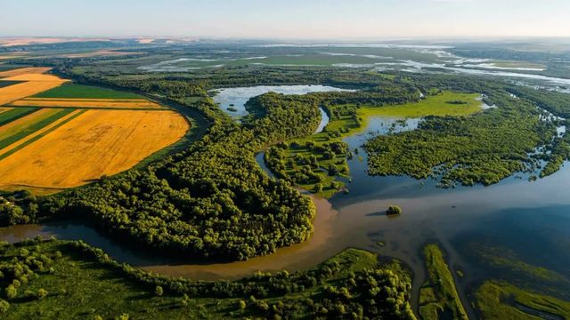 50 de hectare din zona lacurilor Manta și Beleu vor fi împădurite pentru protejarea ecosistemelor Prutului de Jos