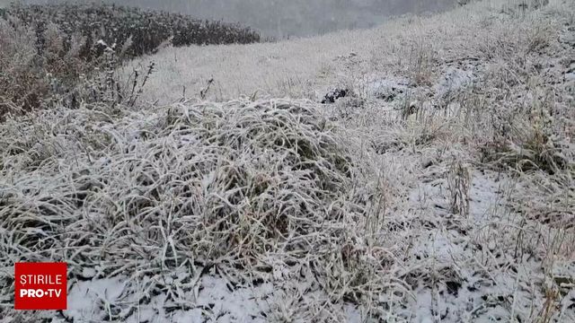 Alertă meteo de ninsori și viscol, în România. Harta cu zonele care intră sub avertizare cod galben