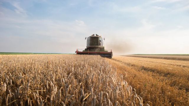 Comisia Europeană confirmă că sprijinul pentru agricultură menține România pe locuri fruntașe în Europa