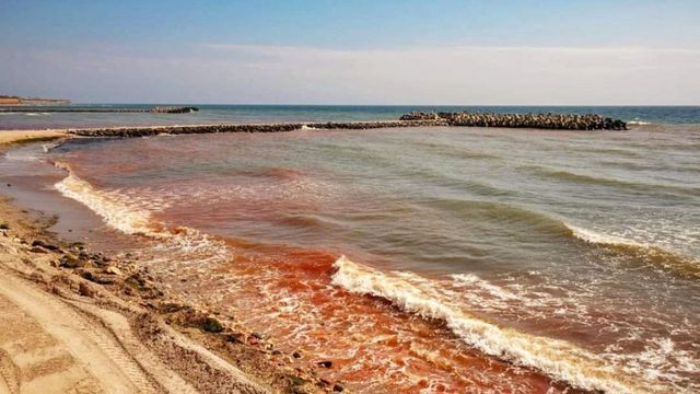 Fenomen rar, in statiunea Olimp: Marea Neagra a devenit rosie - cat de periculos este fenomenul