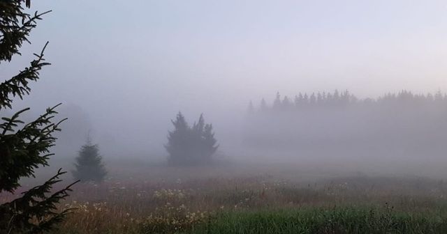 Týden bude chladný, v mlhách a nízké oblačnosti bude nejčastěji do pěti stupňů